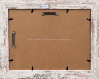  / Vodnář a Rákosníček / Zdeněk Smetana