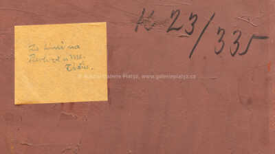  / Za tání na Pavlově u Mladé Vožice / Ota Bubeníček