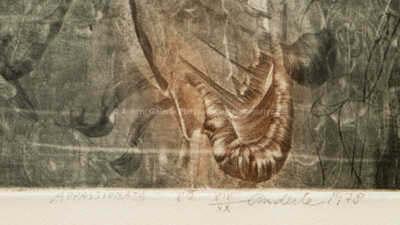  / Appassionata / Jiří Anderle