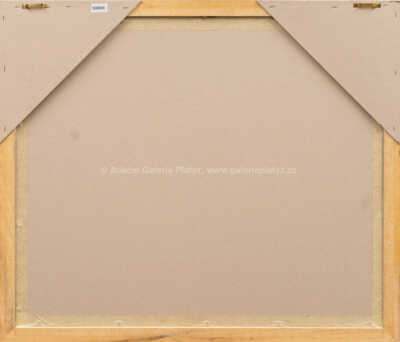  / Žena na divanu - věnováno Vladovi Gažovičovi / Jiří Anderle