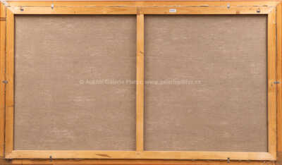  / Tři talíře a hrozny / Vladimír Komárek