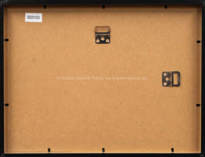  / Krteček a jahody / Zdeněk Miler