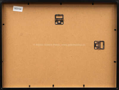  / Medvěd / Zdeněk Miler