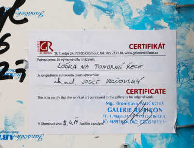  / Loďka na ponorné řece / Josef Velčovský