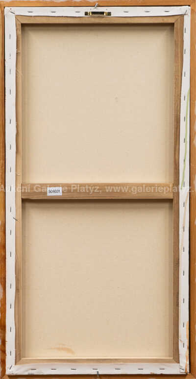  / V ringu / Rostislav Osička