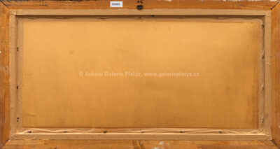  / Zimní pražské panorama / Jaroslav Šetelík