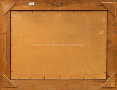  / Říční zrcadlení / Václav Radimský