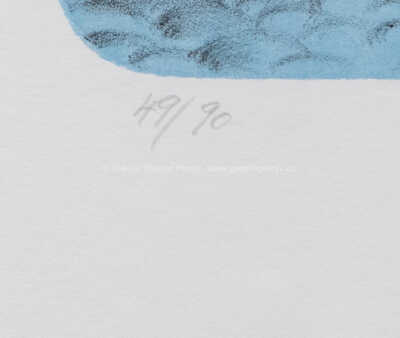  / Harmonikář / Iva Hüttnerová