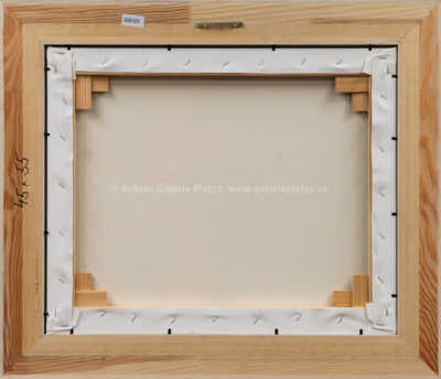  / Zátopek vyplašil jezevce / František Ringo Čech