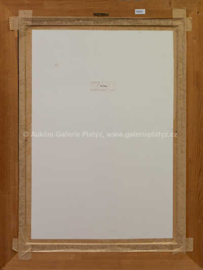  / Daidalos XXI / Zdeněk Hajný