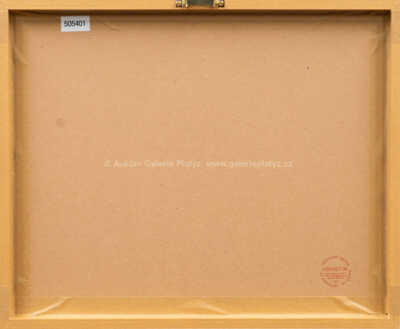  / Indiáni / Theodor Pištěk