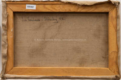  / Střechy / Jan  Smetana