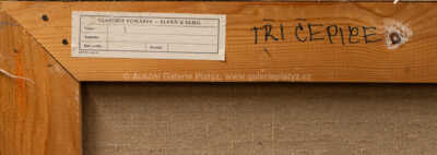  / Tři čepice / Vladimír Komárek