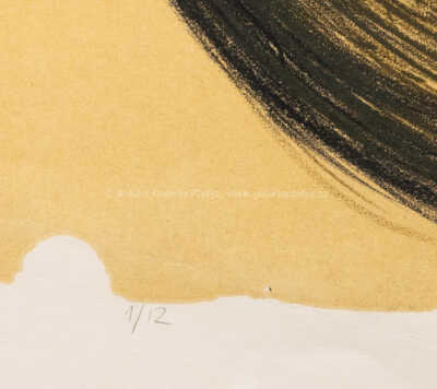  / Stín padající / Krištof Kintera