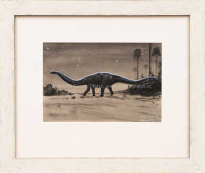 Petr Modlitba - Diplodocus