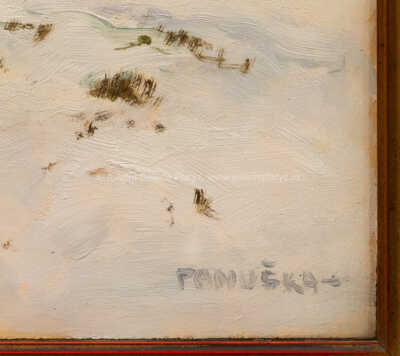  / Zimní krajina / Jaroslav Panuška