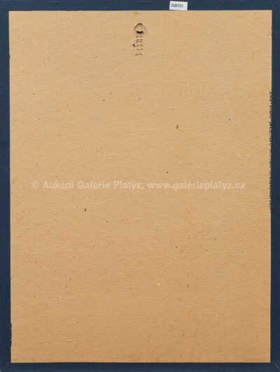  / Donna Simonetta Vespucci / Jiří Anderle