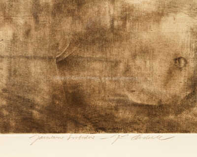  / Donna Simonetta Vespucci / Jiří Anderle