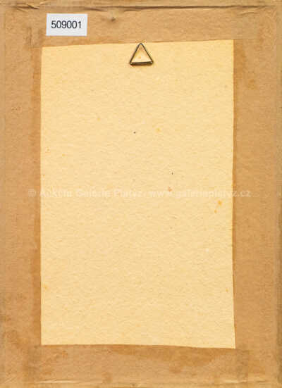  / Chlapec s rybou / Josef Čapek