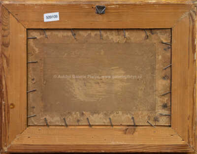  / Na trhu / Karel Nejedlý