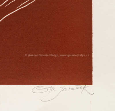  / Dívka s ptáčkem / Ota Janeček