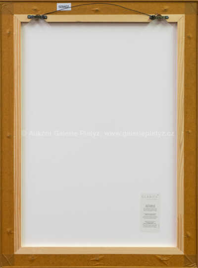  / Portrét dívky / Ota Janeček