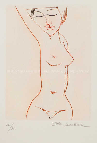  / Akt / Ota Janeček
