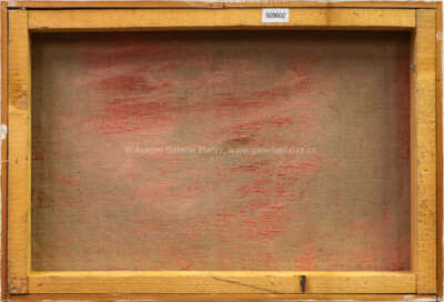  / Busta / Antonín Málek