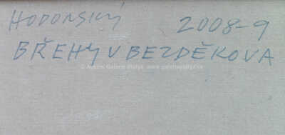  / Břehy u Bezděkova / František Hodonský