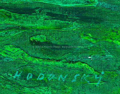  / Stěna vodních rostlin / František Hodonský