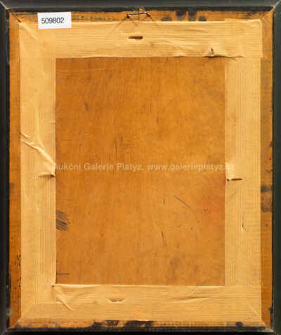  / Před bouří / Viktor  Rolín