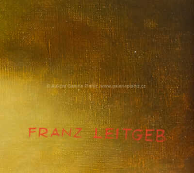  / Květinové zátiší / Franz Leitgeb