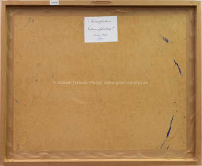  / Návrat fantazie / Jaroslav Vlasák