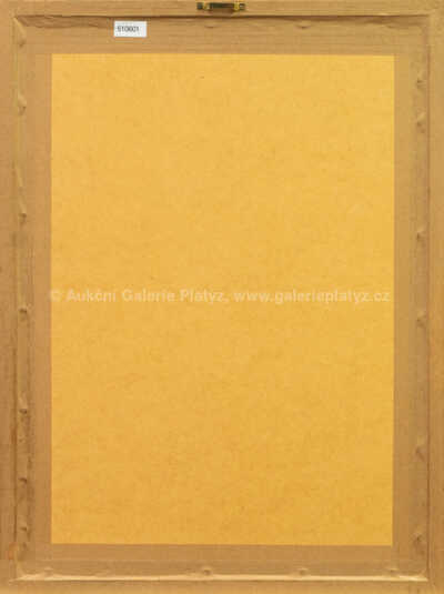  / W.A.Mozart, Malá noční hudba / Jiří Anderle