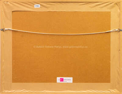  / Praha z vltavského nábřeží / Bedřich  Feigl