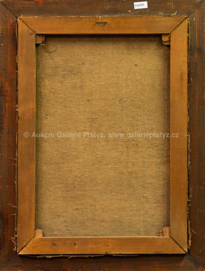  / Dívka se závojem / Jakub Obrovský