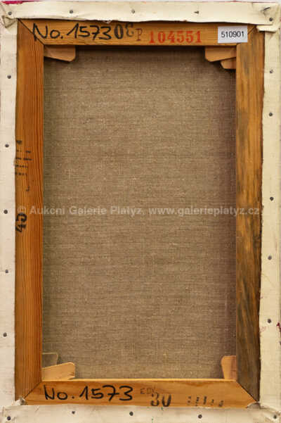  / Muž s dýmkou / Emma Srncová