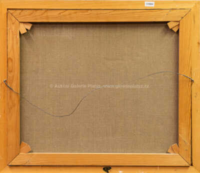  / Čertovka / Karel Chaba 