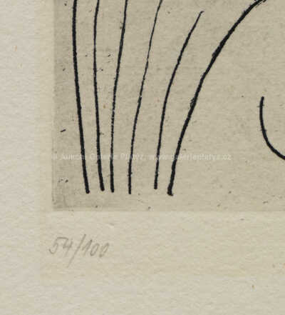  / Anděl / Jan  Zrzavý