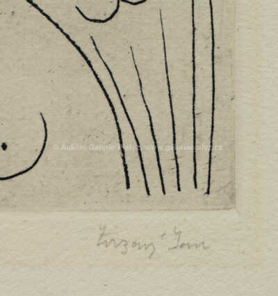  / Anděl / Jan  Zrzavý