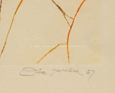  / Faun / Ota Janeček