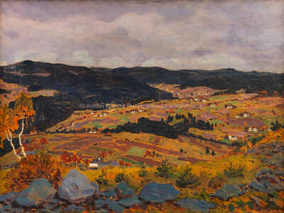  / Březiny v údolí Švarcavy / Jan Honsa