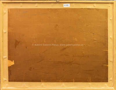  / Březiny v údolí Švarcavy / Jan Honsa