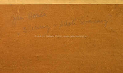  / Březiny v údolí Švarcavy / Jan Honsa