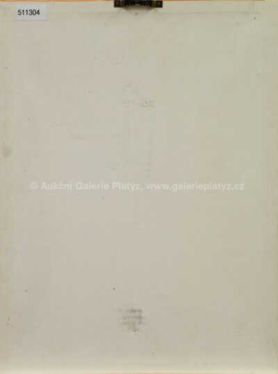  / Pod vrcholem / Tomáš Bím