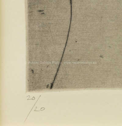  / Havran / Ota Janeček