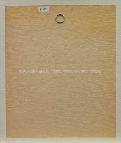  / Havran / Ota Janeček