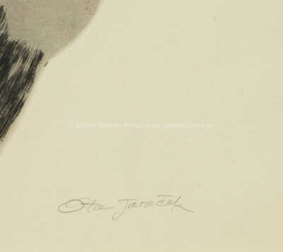  / Havran / Ota Janeček