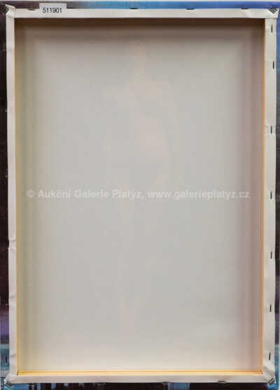  / Jana v sedmém nebi / Jan Saudek