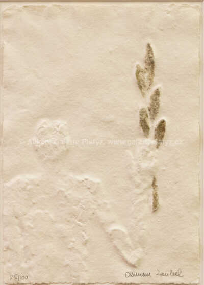  / Josef s ratolestí / Olbram Zoubek